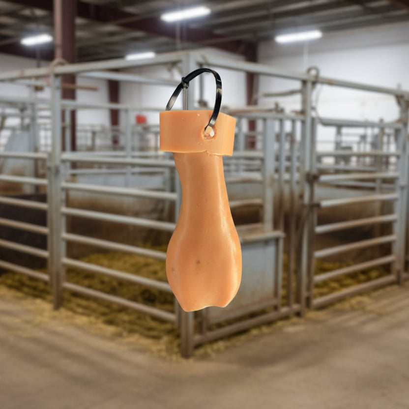 Vasectomy, epididymectomy and castration trainer for Bovine