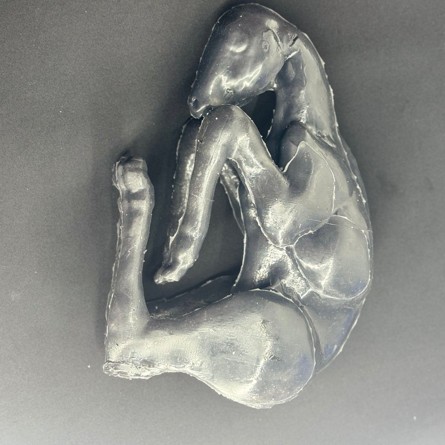 Small Ruminant Cesarean - Lamb