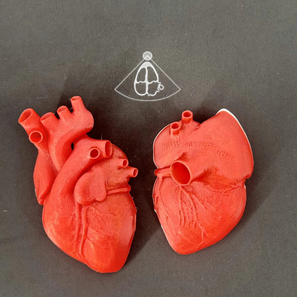 Echocardiogram View Models