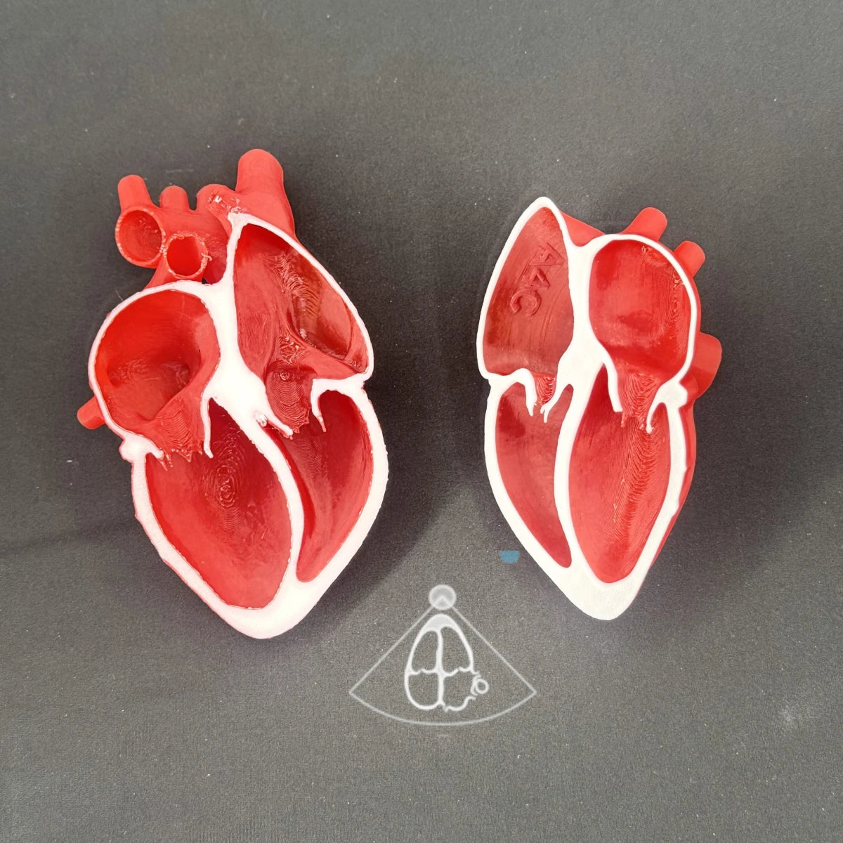 Echocardiogram View Models
