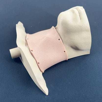 Larry N. Geal™ - Adult Cricothyrotomy Trainer