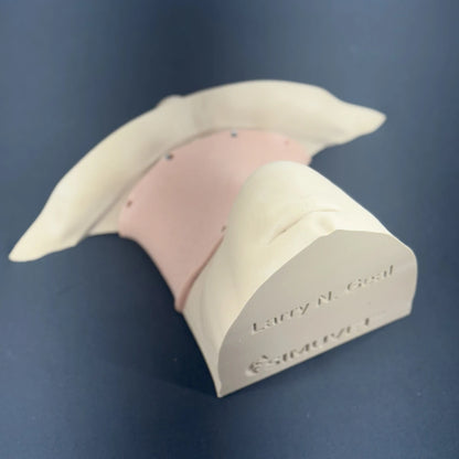 Larry N. Geal™ - Adult Cricothyrotomy Trainer