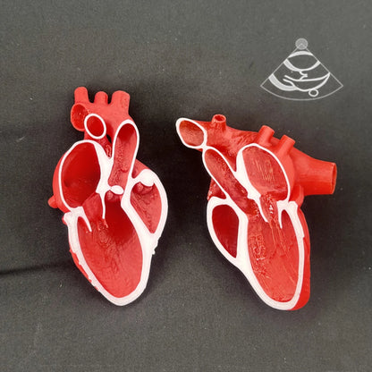 Echocardiogram View Models